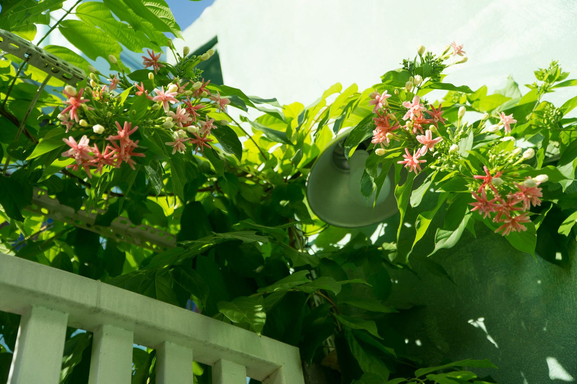 Nha Homestay Da Nang Exterior foto