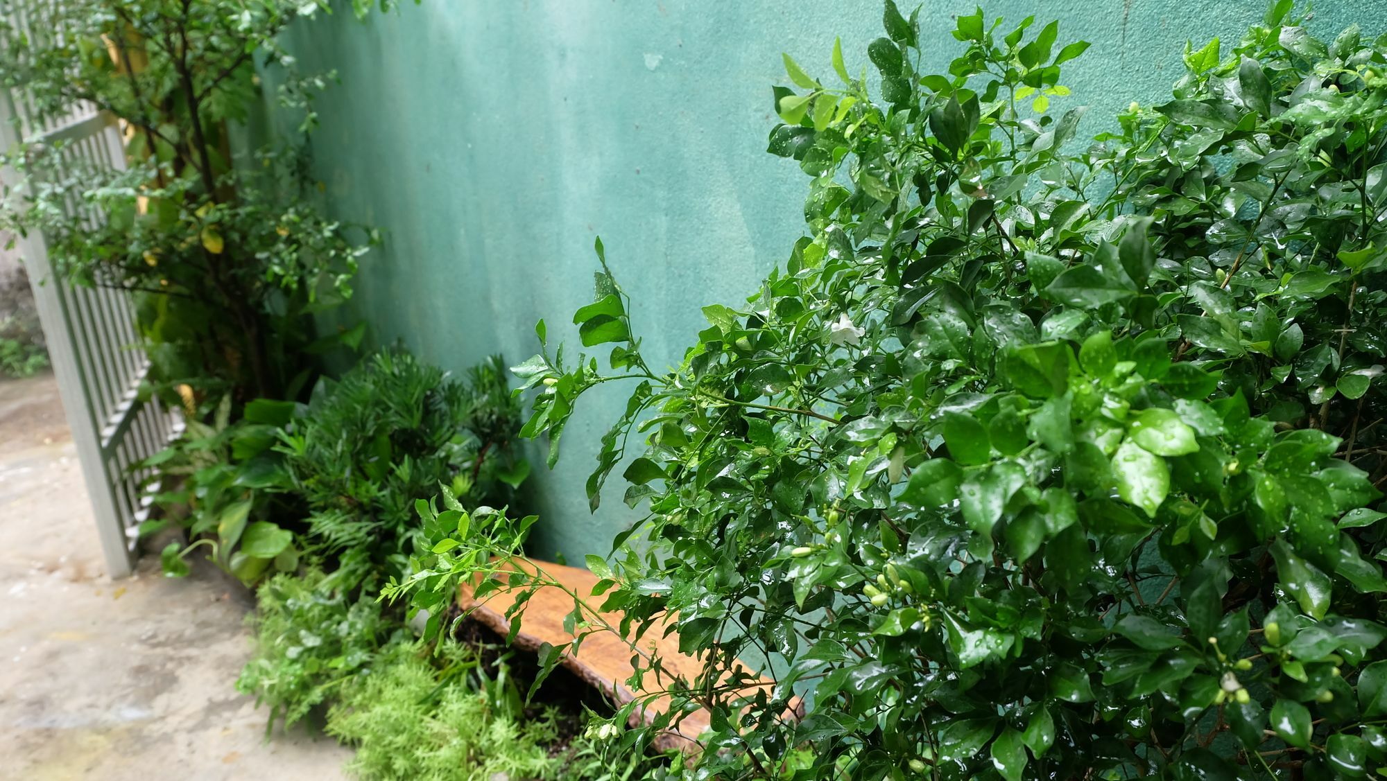 Nha Homestay Da Nang Exterior foto